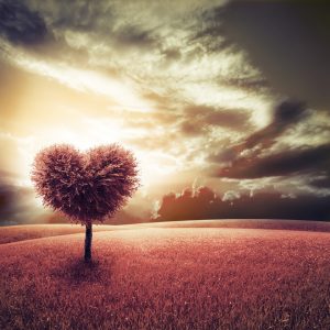 shutterstock_128738489
